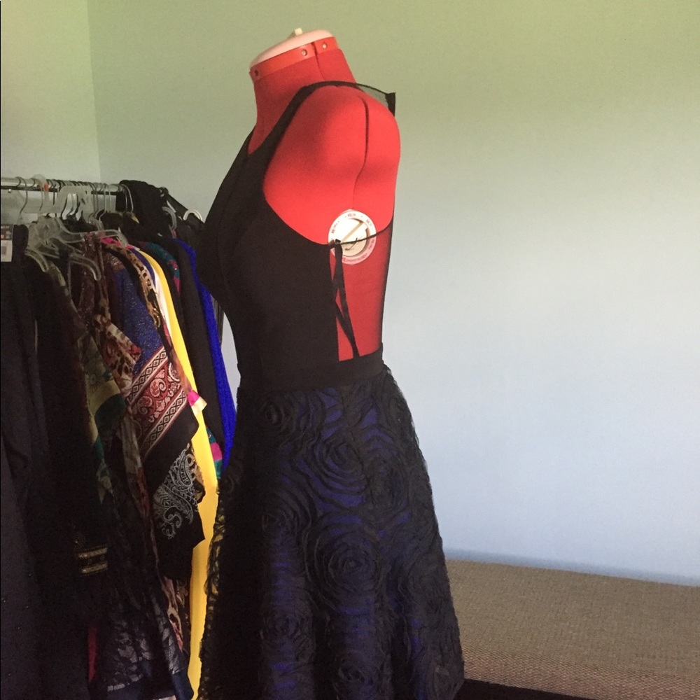 Dress NWOT